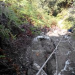 Hiking Bukit Tabur